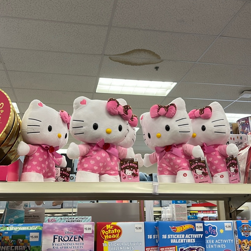 CVS HELLO KITTY SIDE STEPPER V-DAY 2024: read description